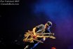 Steve Vai. Auditorio Mar de Vigo